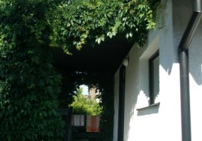parcel for sale - Sicienko, Wierzchucinek