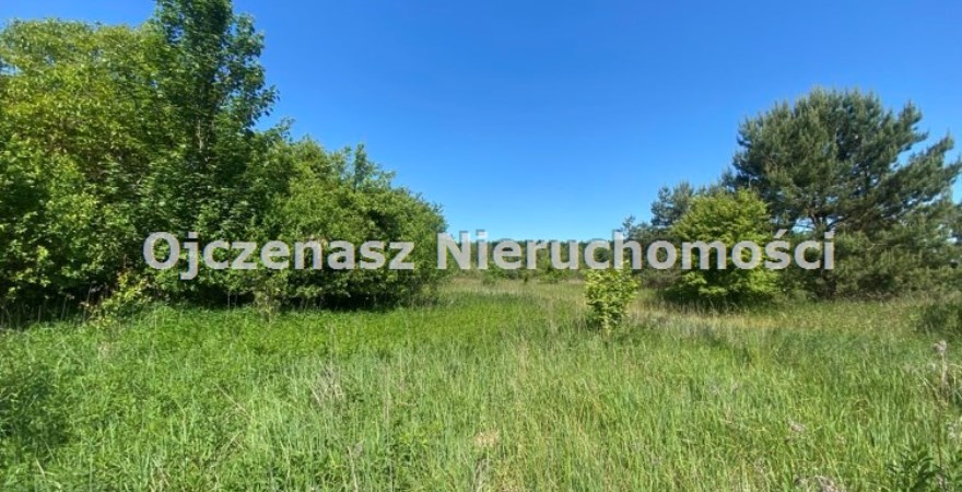 działka na sprzedaż, 6 800 m<sup>2</sup> - Dąbrowa Chełmińska