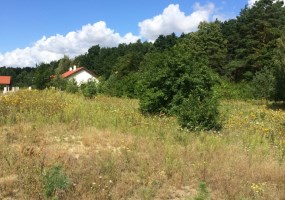 działka na sprzedaż - Sicienko, Kruszyn