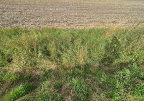 działka na sprzedaż - Szubin (gw), Kowalewo