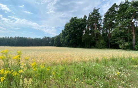 działka na sprzedaż - Dobrcz, Nekla