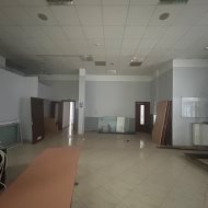 Lokal na wynajem
