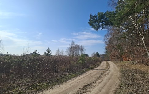 działka na sprzedaż - Dąbrowa Chełmińska, Boluminek