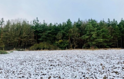 działka na sprzedaż - Dobrcz, Stronno