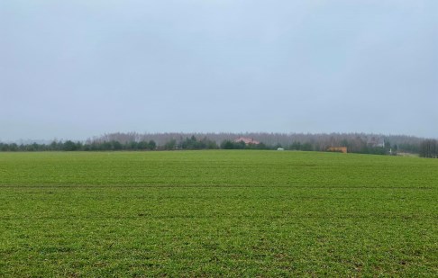 działka na sprzedaż - Sicienko, Gliszcz