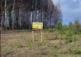 działka na sprzedaż - Lubiewo, Sucha