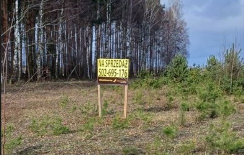 działka na sprzedaż - Lubiewo, Sucha