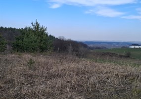 działka na sprzedaż - Dąbrowa Chełmińska, Gzin Górny