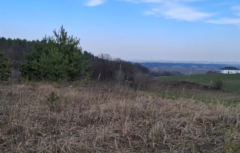 działka na sprzedaż - Dąbrowa Chełmińska, Gzin Górny