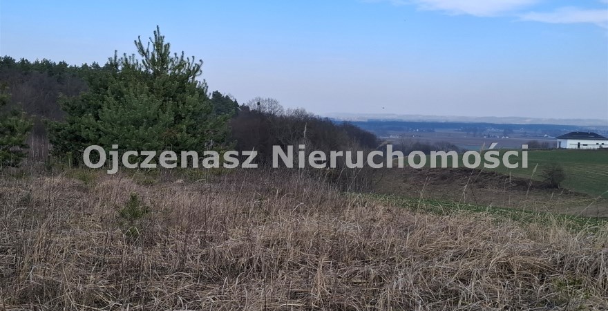 działka na sprzedaż, 3 016 m<sup>2</sup> - Dąbrowa Chełmińska, Gzin Górny