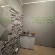Lokal na wynajem