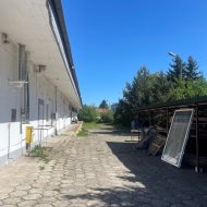 Hala na wynajem