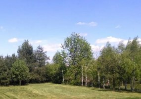 parcel for sale - Zławieś Wielka, Toporzysko