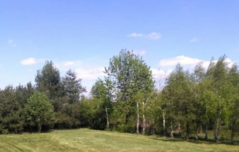 działka na sprzedaż - Zławieś Wielka, Toporzysko