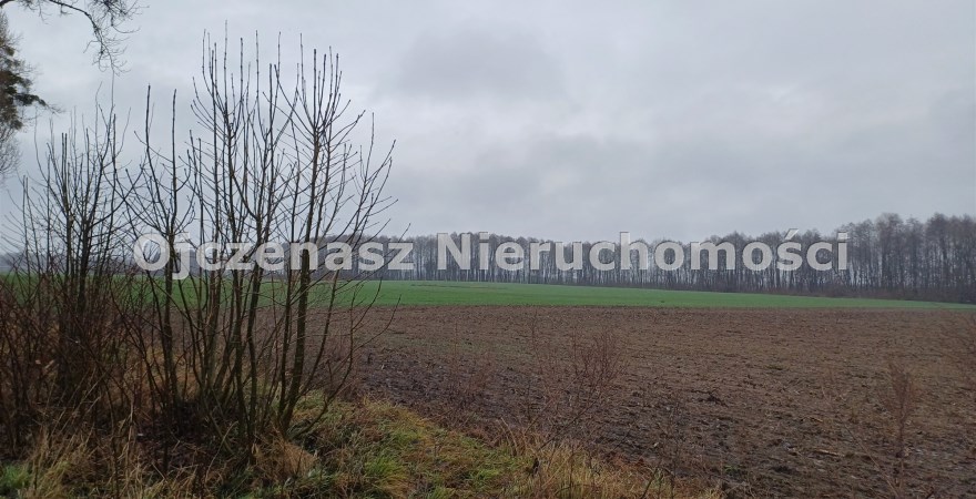 parcel for sale, 21 335 m<sup>2</sup> - Koronowo (gw), Więzowno