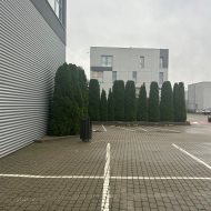 Lokal na wynajem