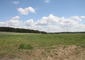 działka na sprzedaż - Szubin (gw), Łachowo