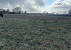 parcel for sale - Białe Błota, Przyłęki