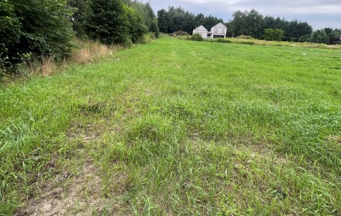 działka na sprzedaż - Osielsko, Niemcz