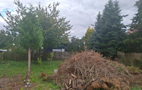 działka na sprzedaż - Dobrcz, Borówno