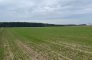 działka na sprzedaż, 1 000 m<sup>2</sup> - Sicienko, Kruszyn zdjecie1