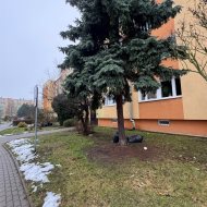 Mieszkanie na wynajem