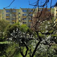 Mieszkanie na wynajem