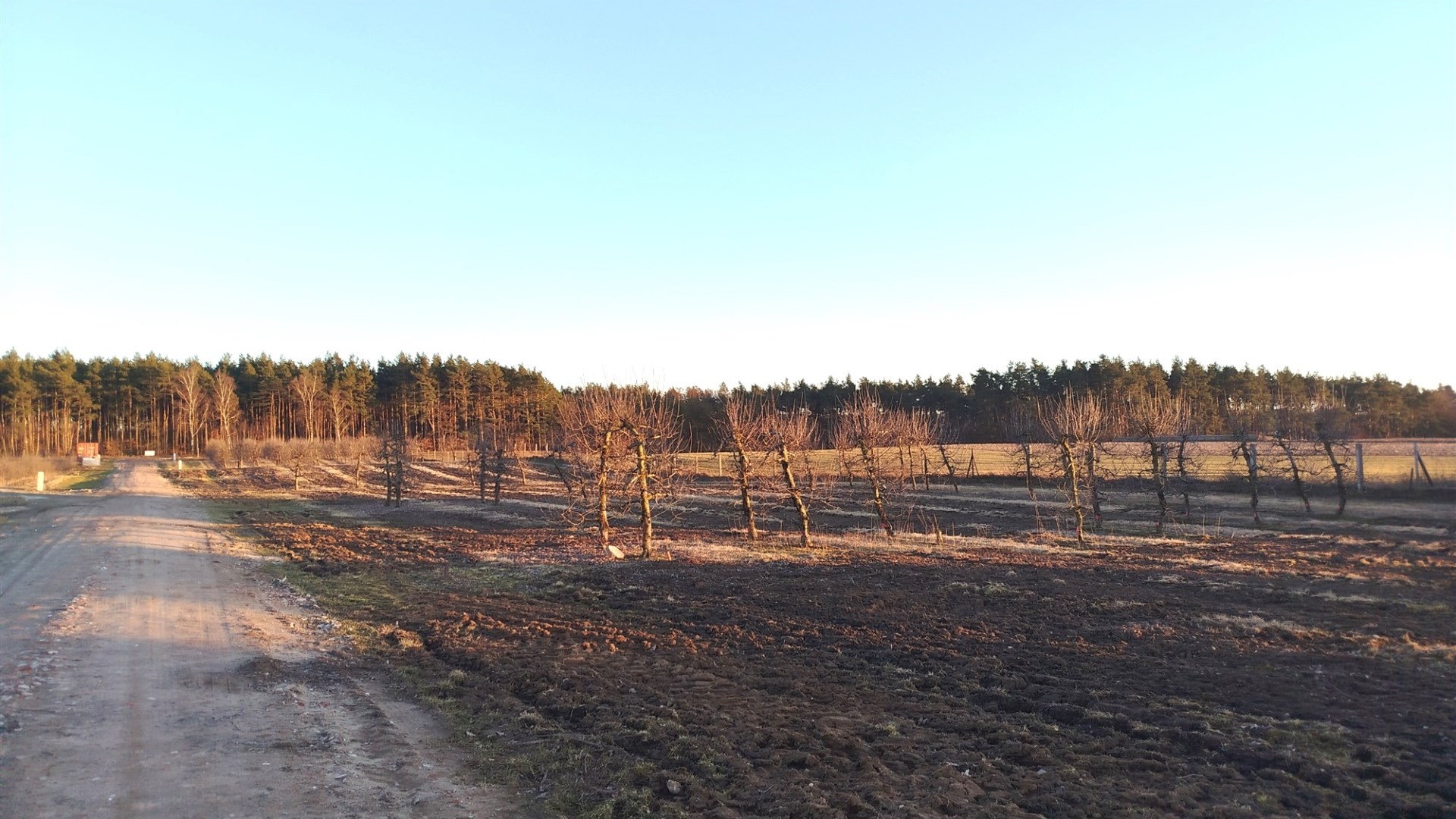 Działka na sprzedaż